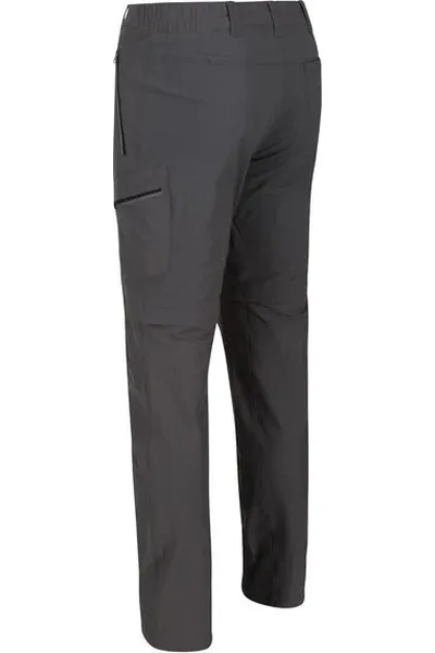 Pánské outdoorové kalhoty s odepínacími nohama Regatta RMJ239 Highton Z/O Trs 92E