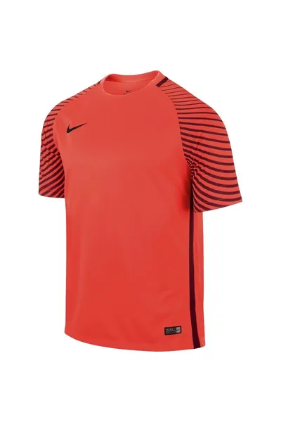 Červené brankářské tričko Nike Gardien M 725889-671