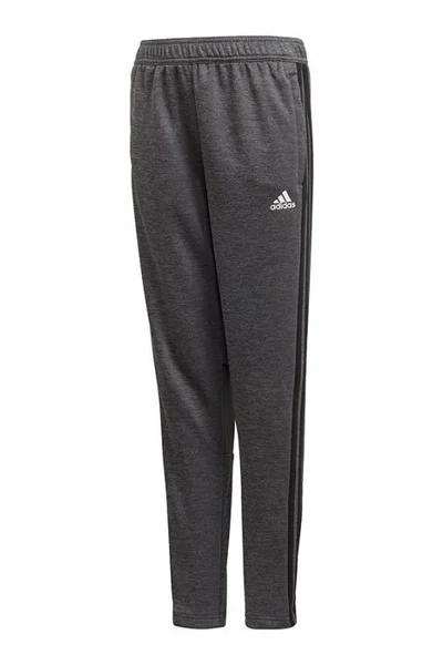Juniorské šedé tréninkové kalhoty Adidas TAN TR Panty CZ8701