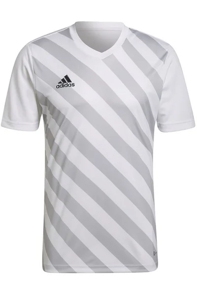 Bílé pánské tričko Adidas Entrada 22 Graphic Jersey M HF0129