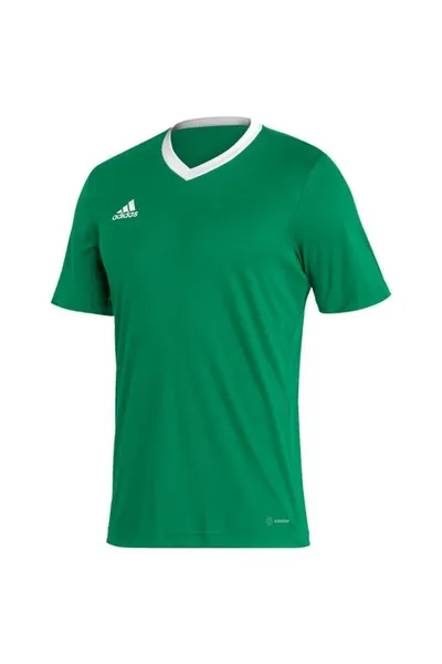 Zelené pánské tričko Adidas Entrada 22 Jersey M HI2123