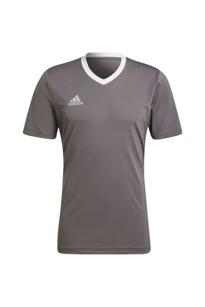 Šedé pánské tričko Adidas T-shirt Entrada 22 Jersey M HE1574