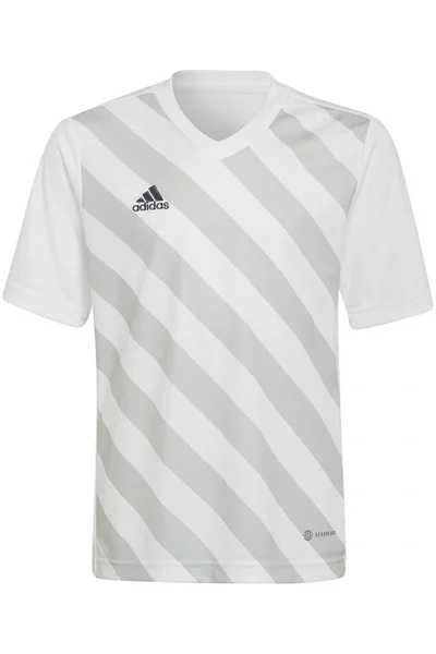 Bílo-šedé dětské tričko Adidas Entrada 22 Graphic Jersey Jr HF0120