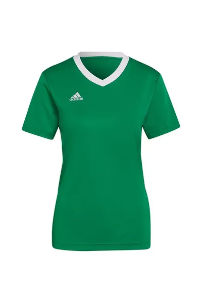 Zelené dámské tričko Adidas Entrada 22 Jersey W HI2124