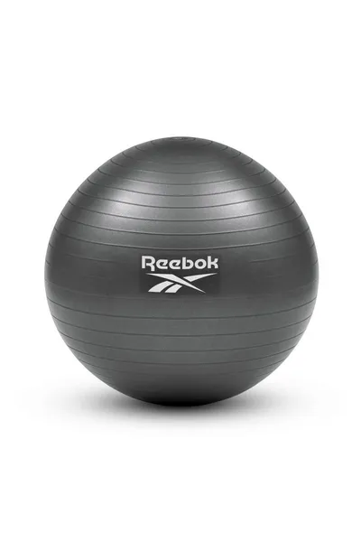 Gymnastický míč Reebok ProFit 55cm