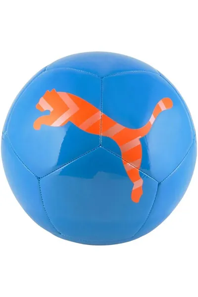 Fotbalový míč Icon - Puma