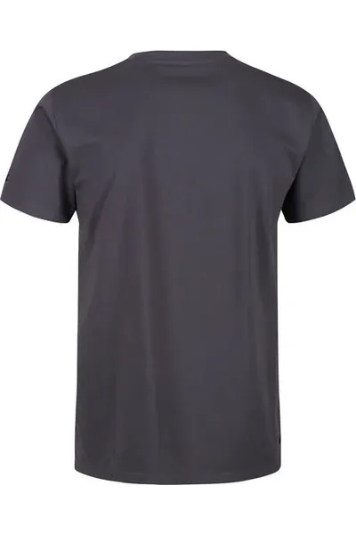 Pánské šedé tričko Regatta RMT206 Cline IV