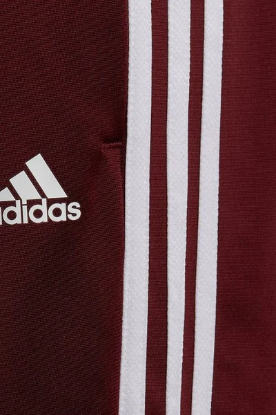 Tepláková Sada adidas Aktiv Pro Děti