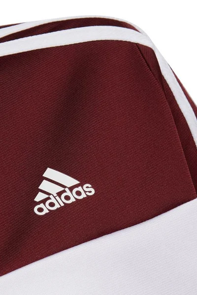 Tepláková Sada adidas Aktiv Pro Děti