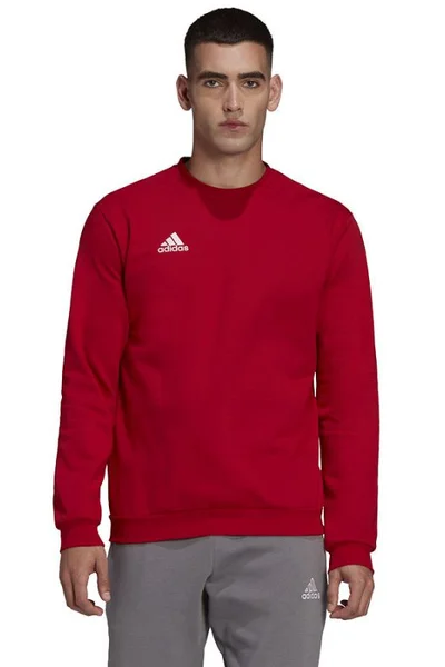 Červená pánská mikina Adidas Entrada 22 Mikina M HB0577