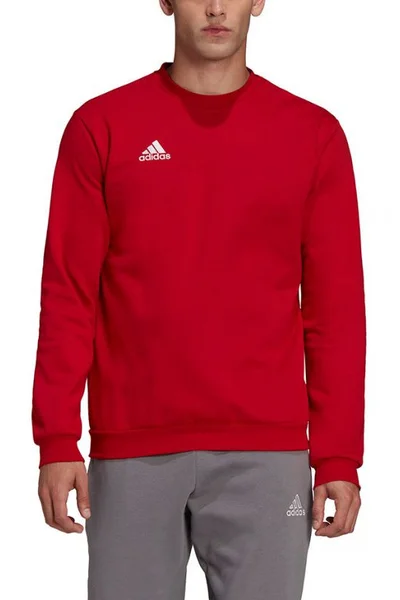 Červená pánská mikina Adidas Entrada 22 Mikina M HB0577