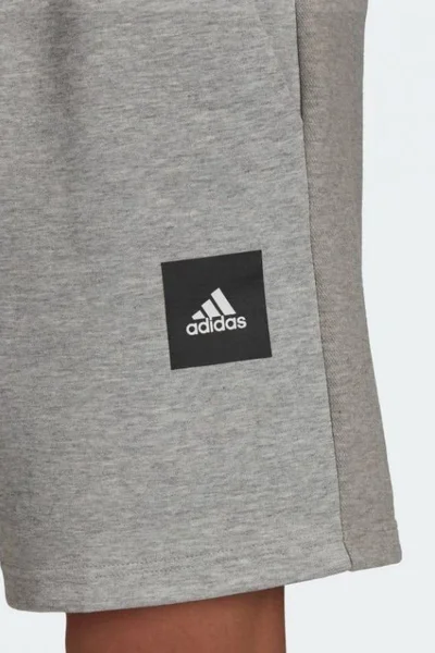 ADIDAS Pánské Šedé Šortky s Páskem