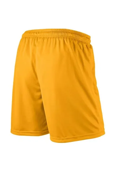 Dětské fotbalové šortky Nike Park Knit Short 448263-739