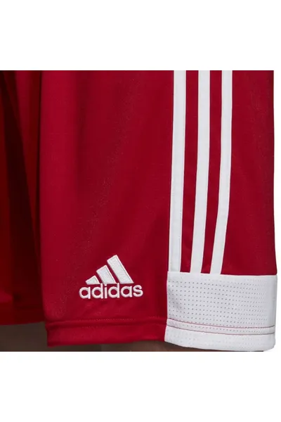 Pánské červené šortky Adidas Tastigo 19 DP3681