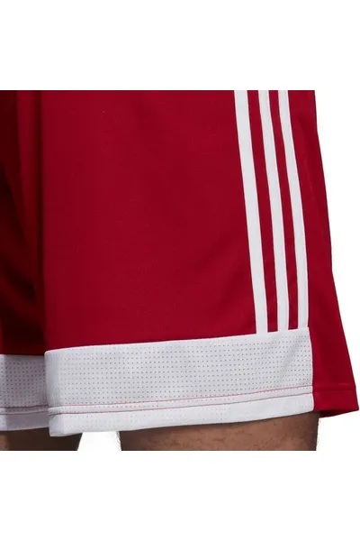 Pánské červené šortky Adidas Tastigo 19 DP3681