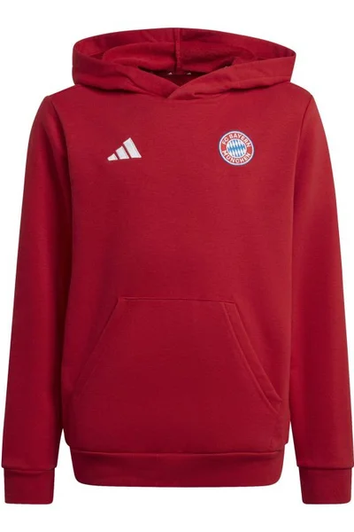 Náš klub Dětská mikina adidas Bayern Mnichov