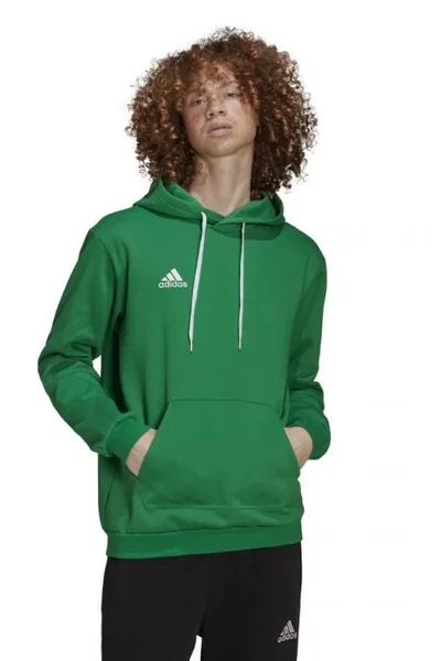 Pánská mikina Adidas Entrada 22 Sweat Hoodie M HI2141 pánské