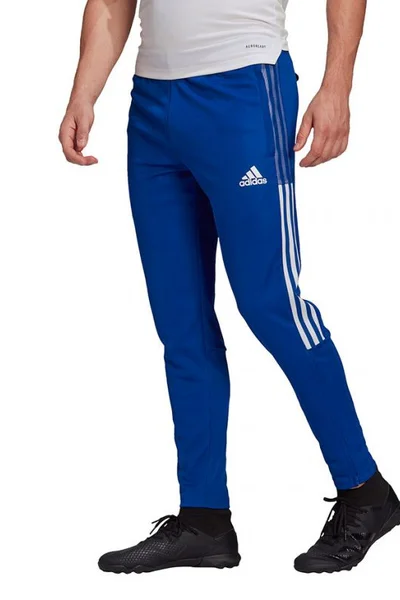 Pánské tepláy Adidas Tiro 21 Training M GJ9870