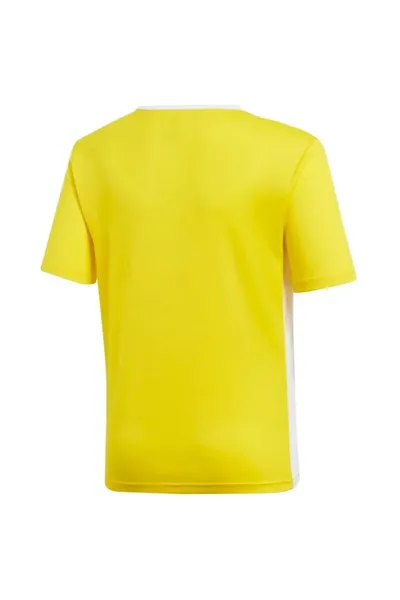 Dětské žluté tričko Adidas Entrada 18 Jsyy Jr CF1039