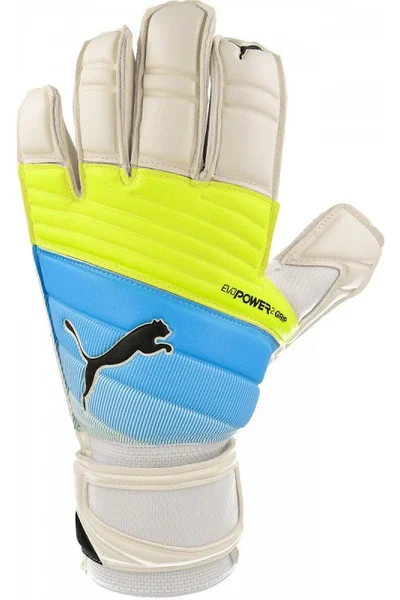 Brankářské rukavice Evo Power Grip 2.3 Puma