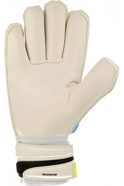 Brankářské rukavice Evo Power Grip 2.3 Puma