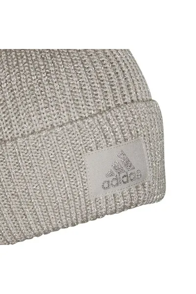Zimní čepice X-City Beanie od Adidasu