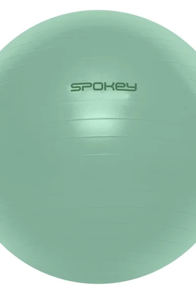 Spokey Masážní Fitball s pumpou