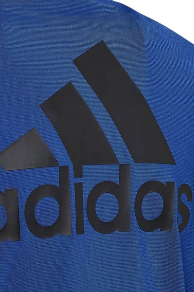 Adidas Dětská tepláková souprava Essentials černá/modrá