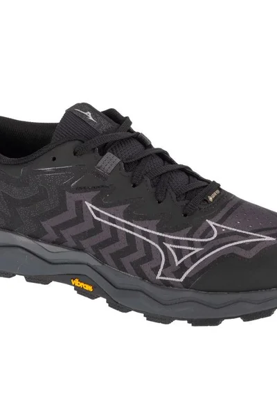 Trailové běžecké boty Mizuno Wave Daichi GTX pánské