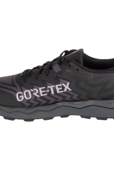 Trailové běžecké boty Mizuno Wave Daichi GTX pánské