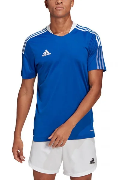 Pánský fotbalový modrý dres Adidas TIRO 21 TR JSY