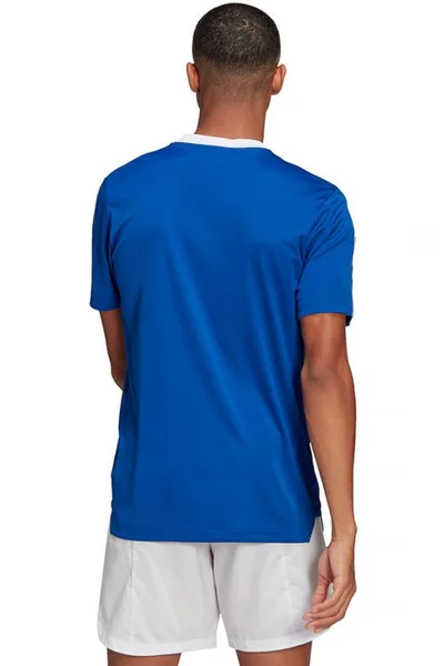 Pánský fotbalový modrý dres Adidas TIRO 21 TR JSY