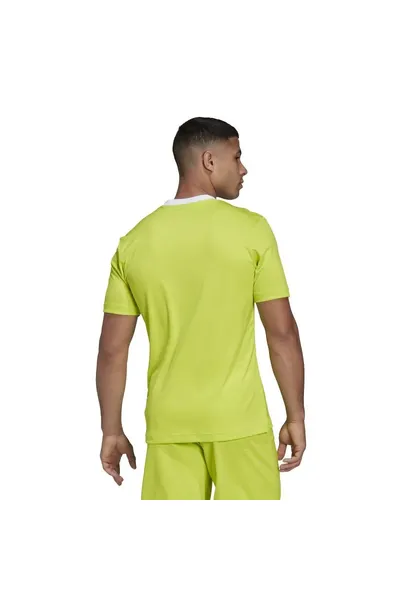 Zelené pánské tričko Adidas Entrada 22 M HC5077