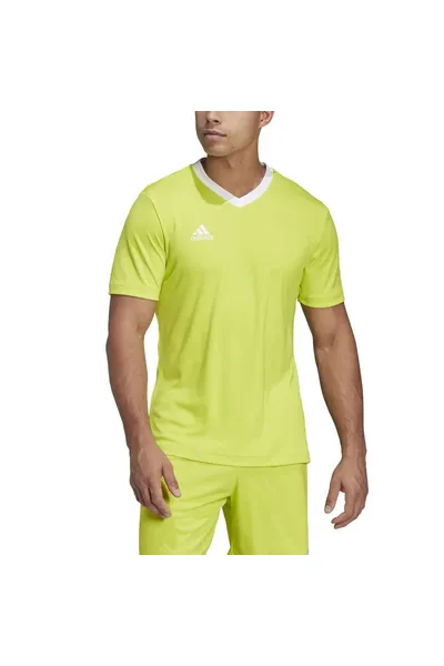 Zelené pánské tričko Adidas Entrada 22 M HC5077
