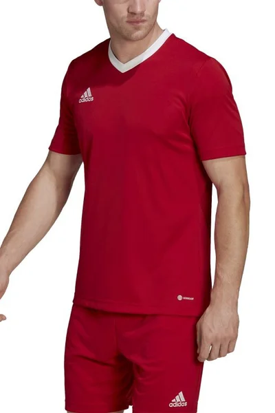 Červené pánské tričko Adidas T-shirt Entrada 22 M H61736