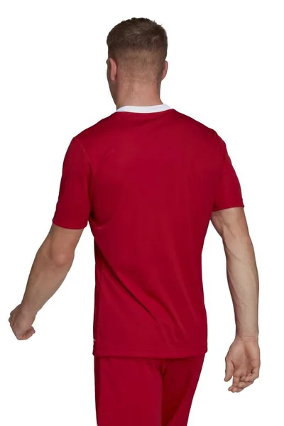 Červené pánské tričko Adidas T-shirt Entrada 22 M H61736