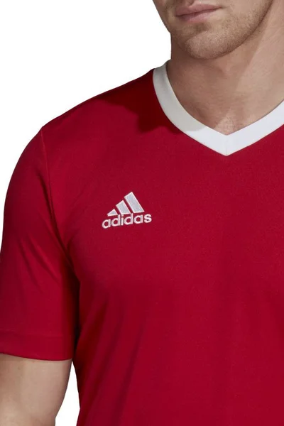 Červené pánské tričko Adidas T-shirt Entrada 22 M H61736