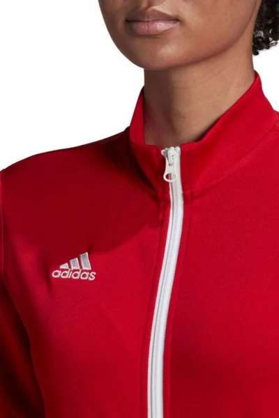 Dámská adidas Tréninková bunda s Aeroready technologií