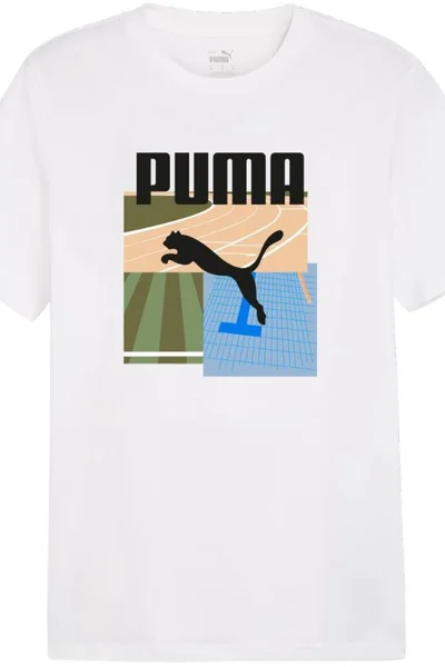 Puma Pánské Tričko Graphics Summer II