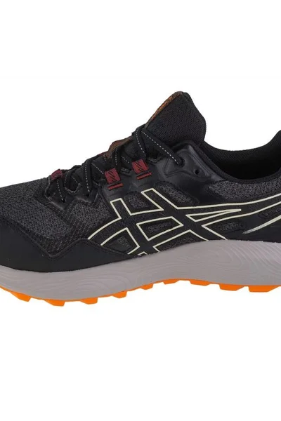 Trailové běžecké boty Asics Gel-Sonoma GTX pro muže