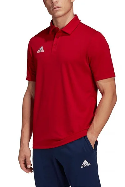 Pánské polo tričko Adidas T-shirt Entrada 22 Polo M H57489