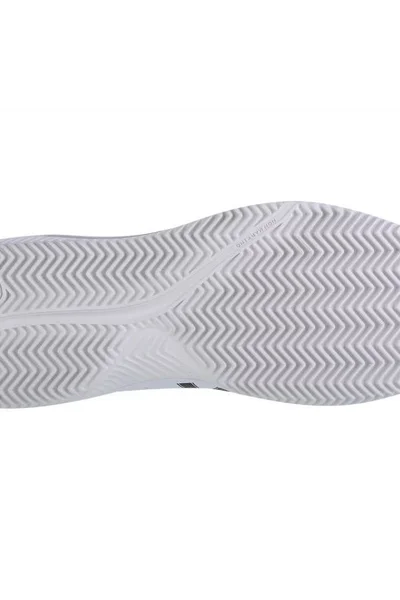 Pánská tenisová obuv Asics Gel-Dedicate 8 Clay