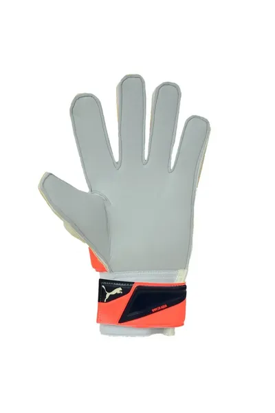 Brankářské rukavice Evo Power Grip 2 Aqua Puma