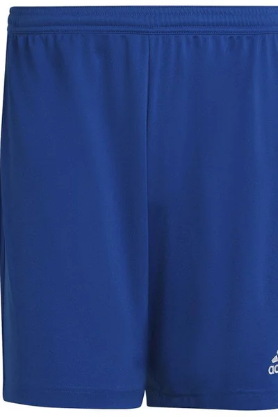 Modré pánské šortky Adidas Entrada 22 M HG6294