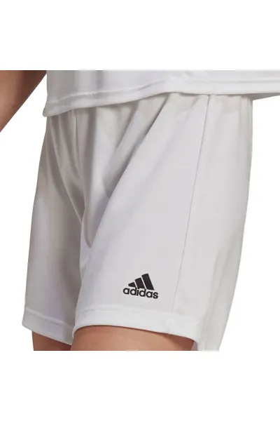Pánské šortky ProTrénink - Adidas