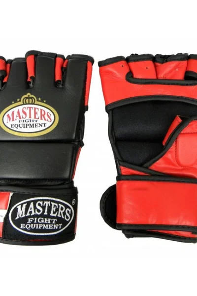 Bojové rukavice GF-100 - Masters