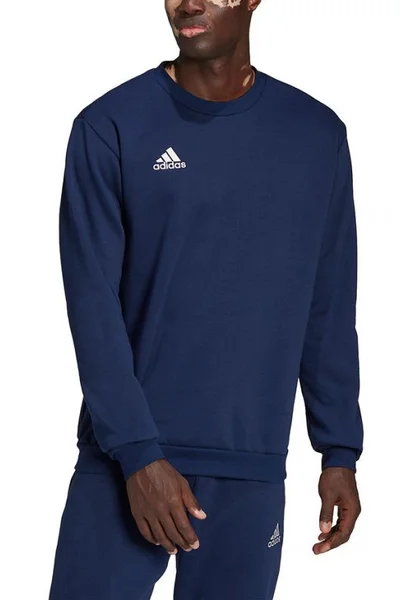 Modrá pánská mikina Adidas Entrada 22 Sweat Top M H57480