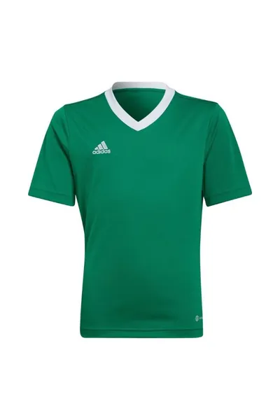 Dětský zelený dres Adidas Entrada 22 Jersey Jr HI2126