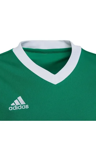 Dětský zelený dres Adidas Entrada 22 Jersey Jr HI2126