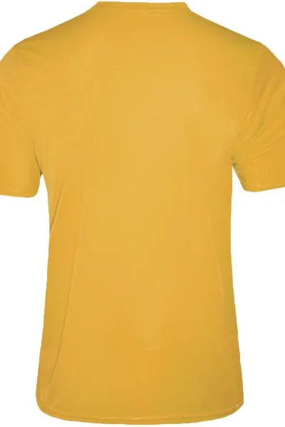 Pánské fotbalové tričko  Formation Zina